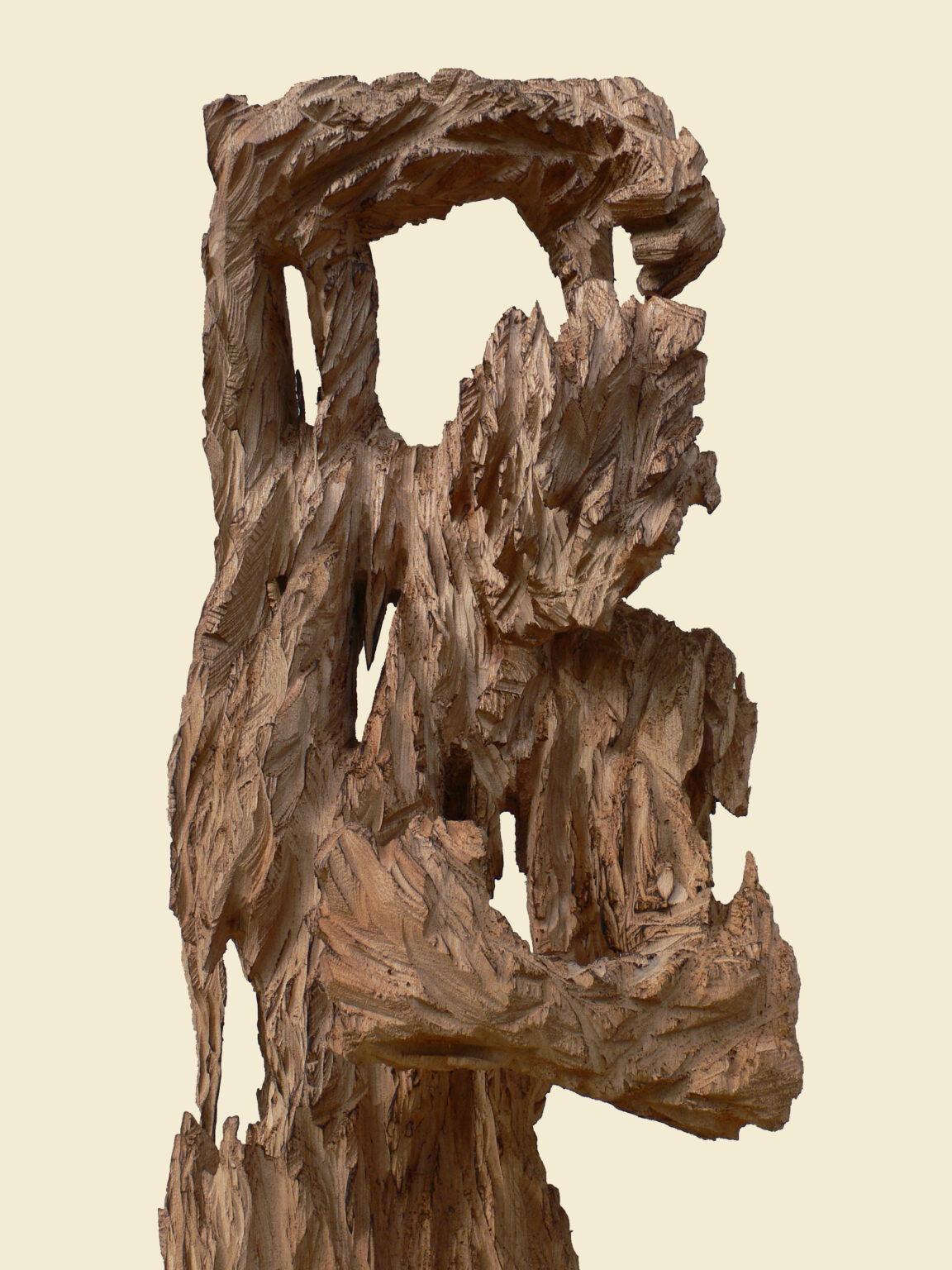 Narzi&szlig;. Ulme, Foto Andreas Kuhnlein