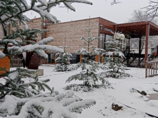 Winterzauber im Museumspark Foto Cornelia Schlosser