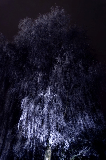 Franz G Wimmer Franz G Wimmer