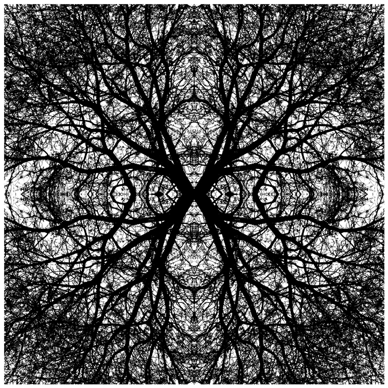 Murauer Franz_Baumkaleidoskop Murauer Franz_Baumkaleidoskop